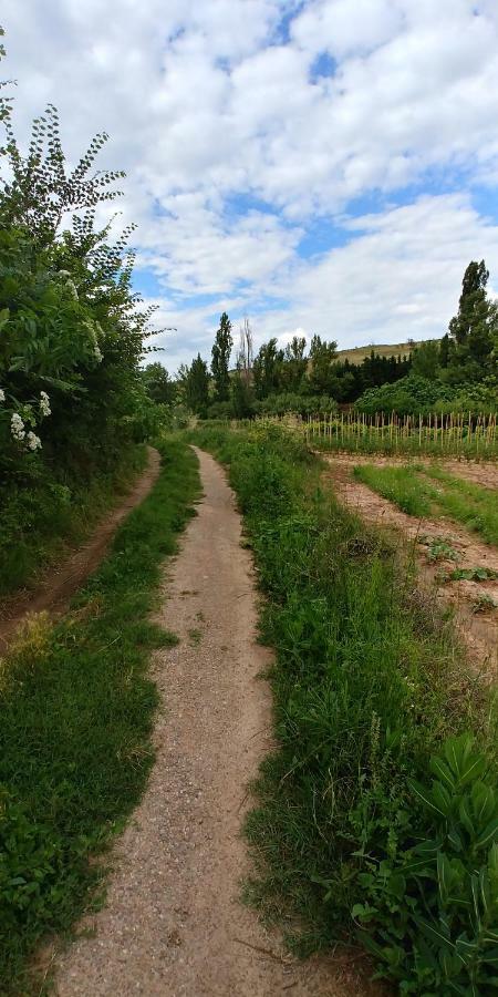 Apartamento Entrevinas En El Corazon De La Rioja Fuenmayor Dış mekan fotoğraf